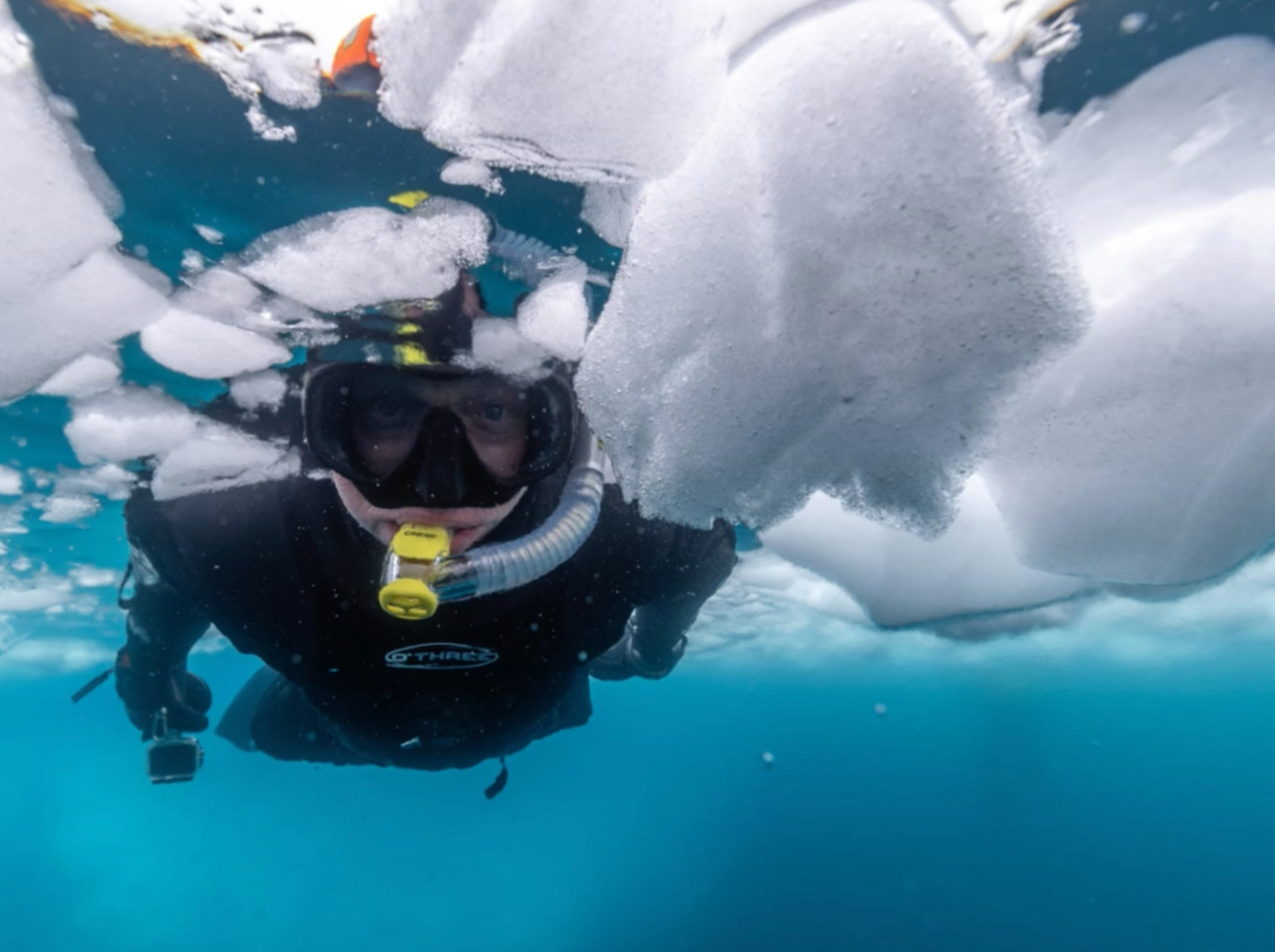 Aurora Expeditions
